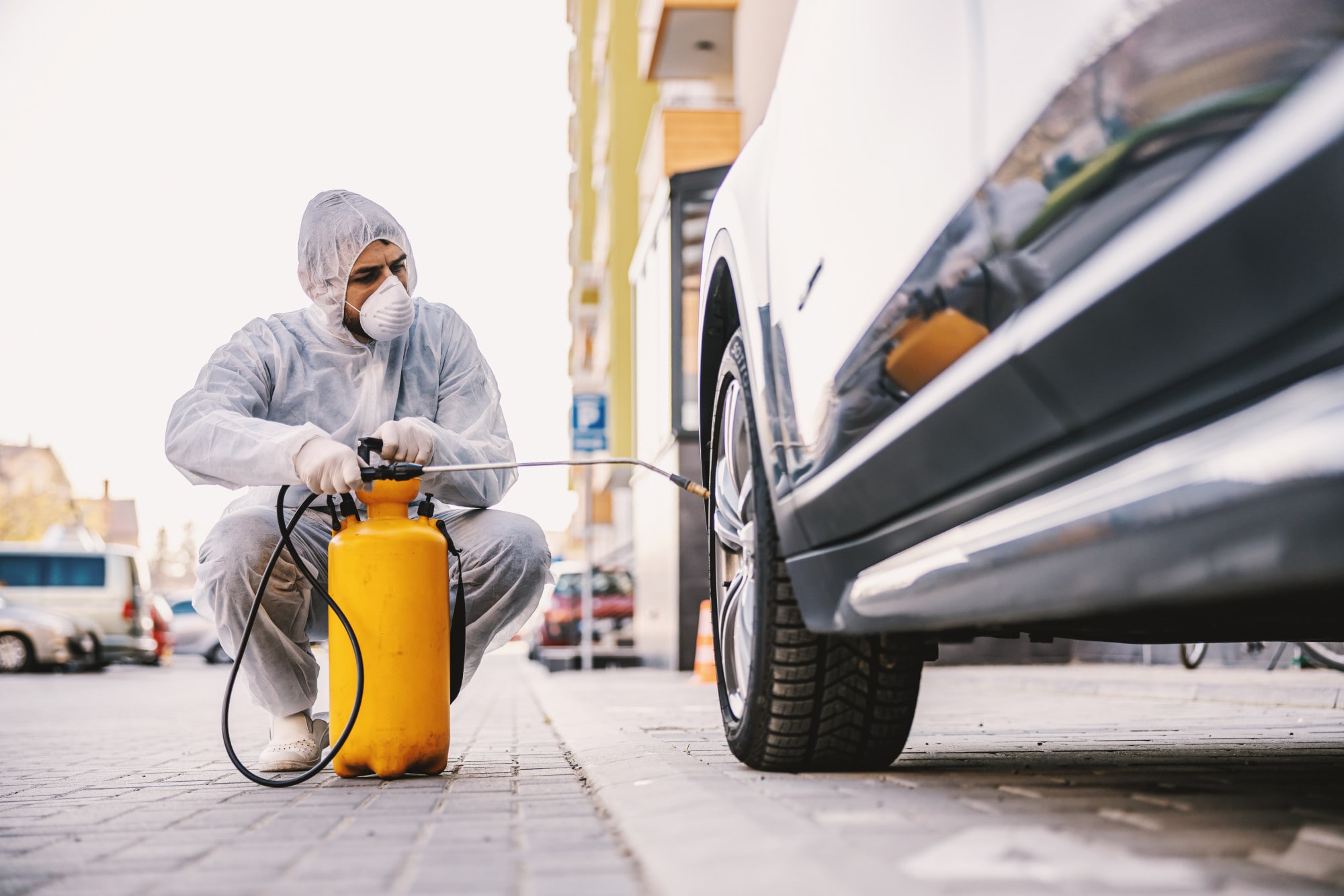 desinsectisation punaise voiture